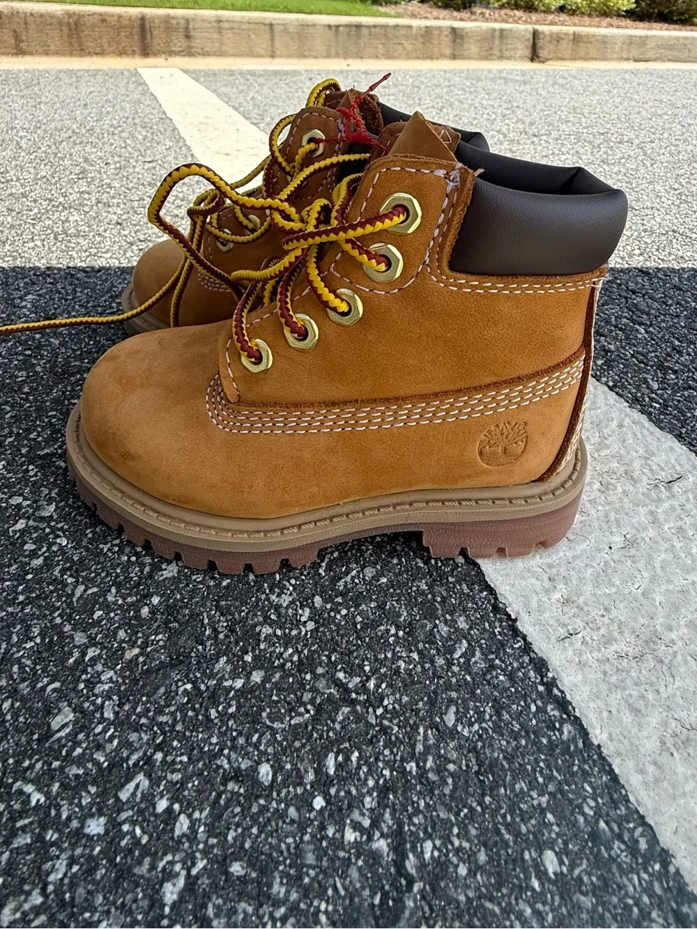 Timberland Kids Wheat Suede Lace-Up Boot in Wheat